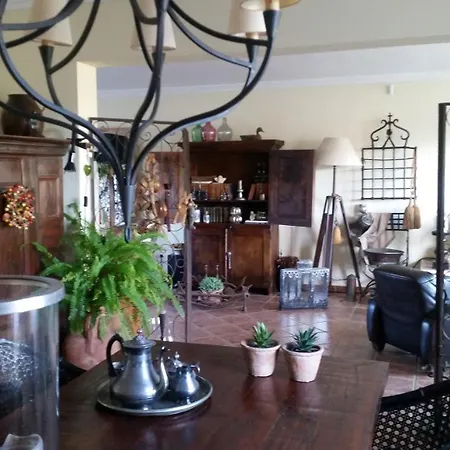 Holiday home Naranjo L'Alfas del Pi